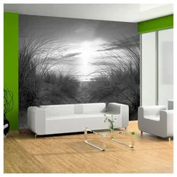 Basera® Fototapete 101103-1 schwarz 4,50 m x 3,15 m