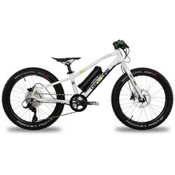 ben-e-bike Twenty E-Power 2024 / 20-Zoll