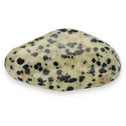 Dalmatinerstein Trommelstein - L