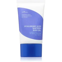 Isntree Hyaluronic Acid schützende Gelcreme für empfindliche und trockene Haut SPF 50+ 50 ml