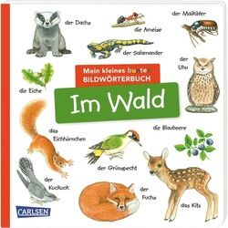 Mein Kleines Buntes Bildwörterbuch: Im Wald, Pappband