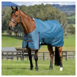 WeatherBeeta Pferde-Thermodecke Weatherbeeta Comfitec Classic Standard Medium 220g Weidedecke 135 cm / 6'0 cm