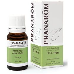 Pranarom Teebaum