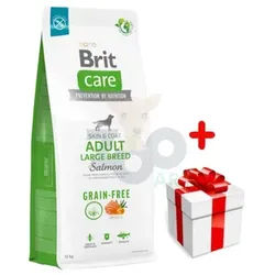 BRIT CARE Dog Grain-free Adult Large Breed Salmon 12kg + Überraschung für den Hund