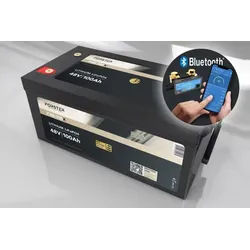 FORSTER 51,2V Lithium 100Ah LiFePO4 Premium Batterie | 200A-BMS-2.0... - 0% MwST. (Angebot gemäß §12 USt Gesetz.)
