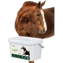 Lab-v EquiVit Diätfuttermittel für Pferde und Ponys zur Unterstützung der Immunität, des Knochen-Gelenk-Systems und des richtigen Stoffwechsels 2000 g