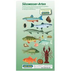 Fischkartenset Süsswasser Fischbestimmung