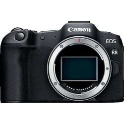 CANON EOS R8 Body Spiegellose Systemkameras, 7,5 cm Display, WLAN