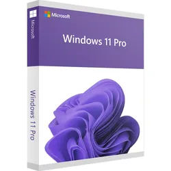 Windows 11 Professional 32/64-Bit