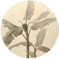 Komar Fototapete Vlies selbstklebend - Banana Plant - Größe 125 x 125 cm, glatt, bedruckt, (1 St), Wohnzimmer, Schlafzimmer bunt