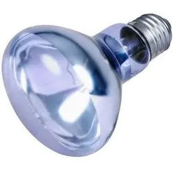TRIXIE Neodymium Wärme-Spot-Lampe 75 W