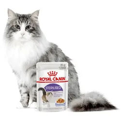 ROYAL CANIN Sterilised 12x85g in Gelee