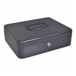 vidaXL Tresor 30 x 24 x 9 cm Geldkasette Kasse Dunkelgrau Stahl Mittel Tragbare Sich grau