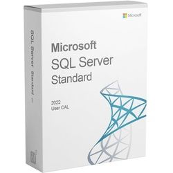 Microsoft SQL Server 2022 Standard 1 User CAL