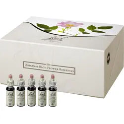 Bach-Blüten 10ml Set 400 ML