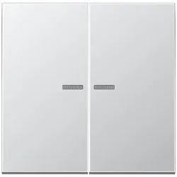 JUNG HOME Taster 2fach, Aluminium AlMg1 Naturton, mattgebeizt, Serie LS, Aluminium