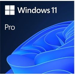 Microsoft Windows 11 Pro für Windows