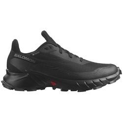 Salomon Herren Alphacross 5 GTX schwarz 44.0