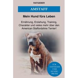 American Staffordshire Terrier