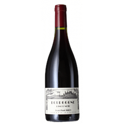 Bourgogne Pinot Noir 2022 - Jean-Paul Brun - Domaine Des Terres Dorées