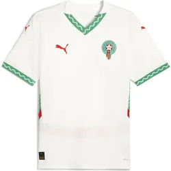 Puma Frmf Away Jersey Replica puma white-fast green-puma red (02) L