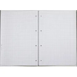 herlitz Schulheft kariert DIN A4 16 Blätter