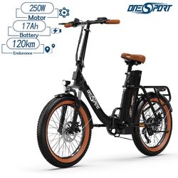Elcykel Onesport OT16 räckvidd 120km, maxhastighet 25km/h, 20*3-tums däck, 250W motor, 17Ah batteri-svart