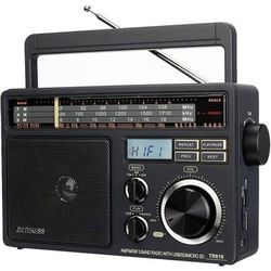 Retecess TR618 Bärbar radio, batteri- och nätradio, FM AM SW-transisitor, USB SD TF MP3-spelare, hörlursuttag (mörkgrå)