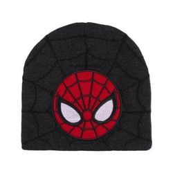 Spiderman sort hue vinterhue avengers
