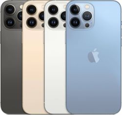 iPhone 13 Pro Max 256GB - 1 År Garanti Begagnad i Nyskick - Svart