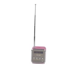 Bærbar minihøjttaler med moderigtigt design, FM-radio, TF-kort og U-diskunderstøttelse - Rose