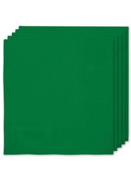 FUNIDELIA 16 Grønne servietter 33x33cm - Standard farger til dame og mann - 0