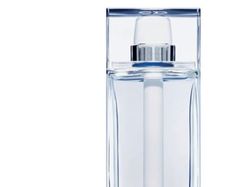 Dior Homme Cologne 2013 cologne 125 ml For menn