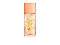 Elizabeth Arden grønn te nektarinblomst EDT 100ml
