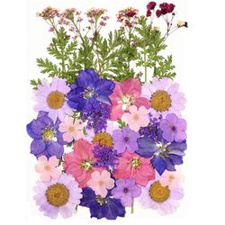 Moorle Torkade Pressade Blommor – Blomsterset för DIY-ljus, Resin Smycken, Hängen, Scrapbooking och Dekorativa Hantverk