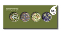 Glassmagneter Sett Customworks