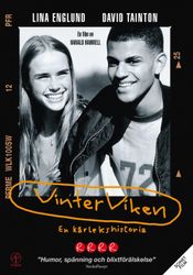 Vinterviken (DVD)