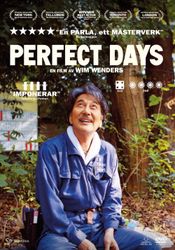 Perfect Days (DVD)
