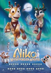 Niko ja myrskyporojen arvoitus (DVD)