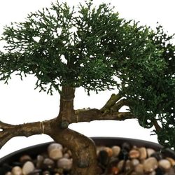 Kunstigt bonsai træ i en sort potte