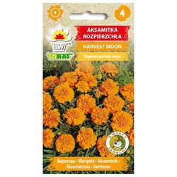 Ringblomma, apelsin, HARVEST MOON, 1 g