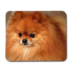 Musmatta: Hund Pomeranian, halkfri gummibas, livfull och unik design, perfekt för hemmet eller kontoret