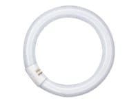 OSRAM LUMILUX T9 C - Fluorescerende lyspære - form: T9 - G10q - 32 W - klasse G - 2700 K