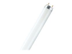 OSRAM LUMILUX INTERNA - Fluorescerende lyspære - G13 - 19 W - klasse G - 2700 K