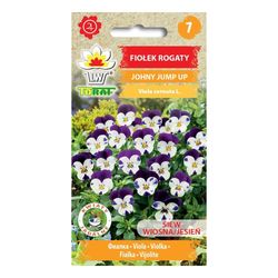 Frö till hornviol Johnny Jump Up – Färgstark och blomvillig perenn