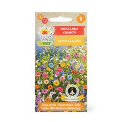 Frö till ängsblommor Mix Snabblommande – Färgsprakande blomsteräng på bara några veckor