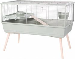 ZOLUX NEOLIFE 100 bur marsvin, grønn 99x54x79cm