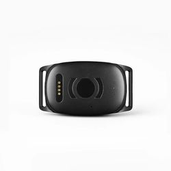 GPS for hund – Atto Pro
