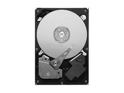 Seagate Pipeline HD ST3320311CS - harddisk - 320 GB - intern - 3,5" - SATA 3Gb/s - buffer: 8 MB