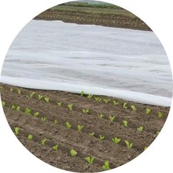 Bradas agrotekstil 320x1000cm 17 g/m² AWW1732010